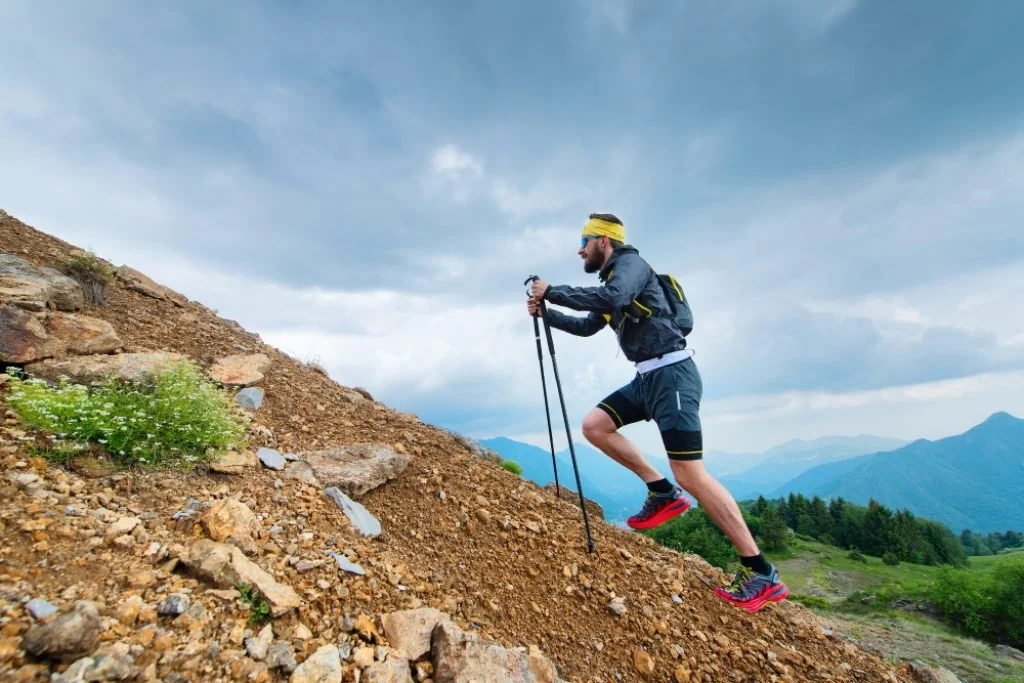 Les Meilleurs Bâtons de Trail 2026 : Comparatif et Guide d&rsquo;Achat