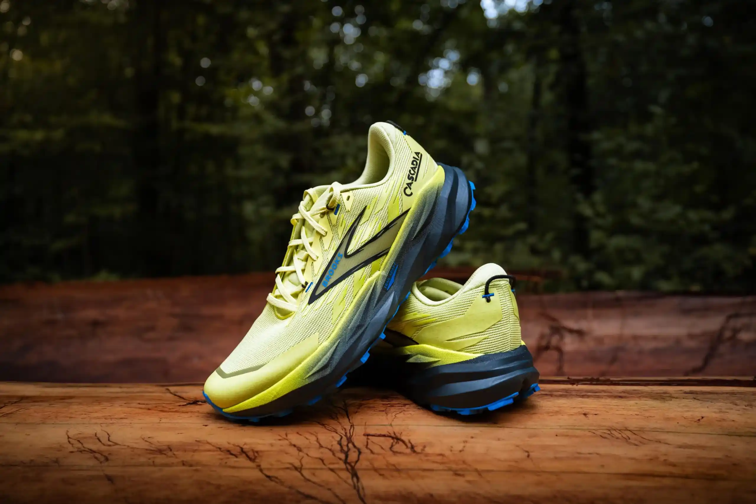 Brooks Cascadia 19 : avis, test complet et verdict 2026